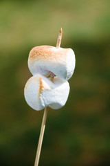 
macro photo of marshmallow baked on a bonfire on a wooden stick on a blurred green background