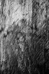 wood texture background surface with old natural pattern topview