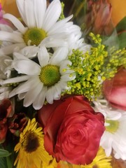 bunch of flowers