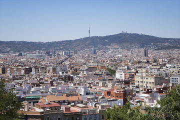Fototapeta premium View of roofs of Barcelona surrounded with mountains from the hill of Montjuic