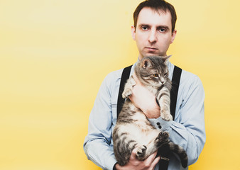 good-looking confident man in blue shirt and black suspender holding cute tabby grey cat and looking at camera on yellow background