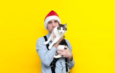 handsome man in red santa hat holding cute brown with white cat and looking at camera in front of yelloow background