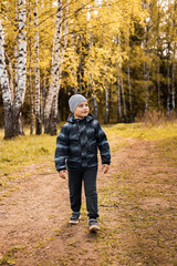 small boy walks through a mixed forest, looking at nature