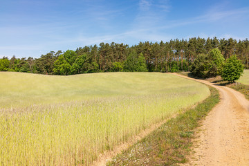 path in the countryside