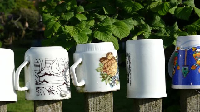 lots of mugs and cups stuck upside down on the fence