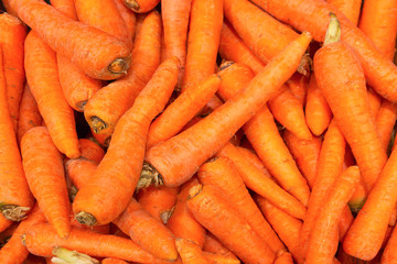 Pile of carrots close-up. Young vegetables are laid out on the counter. The concept of vitamins from a natural product, a culinary ingredient.