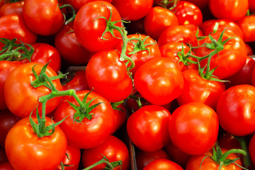 A bunch of fresh, ripe, red tomatoes with green twigs are on the counter in the store. The concept...