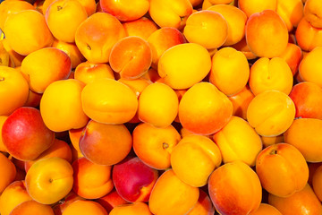 A bunch of juicy apricots are in a drawer in the store. Useful elements, vitamins from fruits.