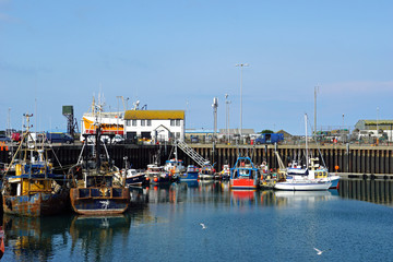 Small harbour in fishing village of Portavogie in County Down, Northern Ireland 