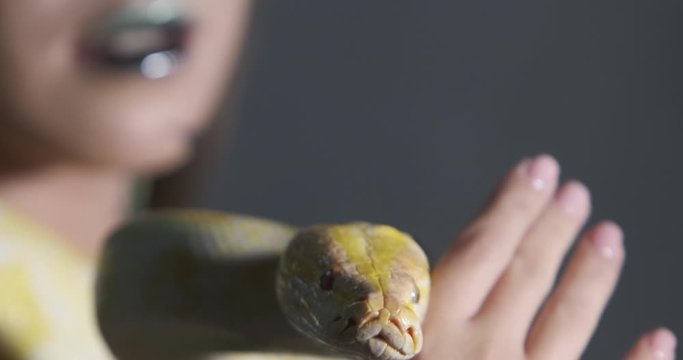 The head of a yellow python in the palm of a girl, close-up.