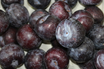 close up of plum fruit 