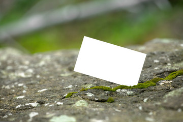 Business card mock up concept on forest green moss. blank white paper card on mossy rock texture woodland nature hunt background with copy space