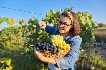 Portrait of happy woman with basket of grapes