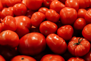 Tomatoes red natural health food vegetables. Background