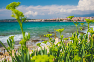 Obraz premium Picturesque coastal view of Novalja town on Pag island in Croatia