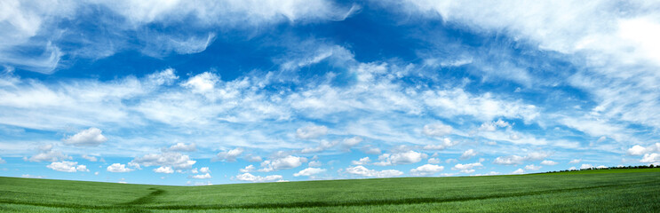 Obraz na płótnie Canvas Sky blue with beautiful clouds and green meadow. Panoramic summer background.