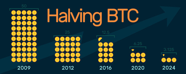 Halving bitcoin 2024 infographic.Block reward reduced in two times every four years.Deflationary currency.Creative blockchain technology banner for website.Vector illustration on dark background eps10