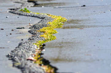cracks in road