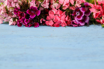 セキチクの花束 