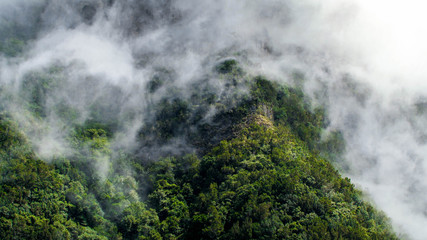 Landscape of high mountain and forest covered in fog on bright sunny day