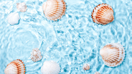 Sea shells of different sizes underwater, copy space. Various seashells in blue water with waves, top view, summer background