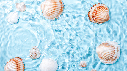 Obraz na płótnie Canvas Sea shells of different sizes underwater, copy space. Various seashells in blue water with waves, top view, summer background