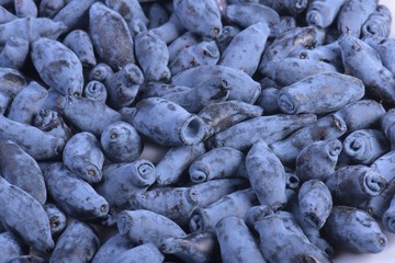 Blue honeysuckle (Lonicera caerulea var. edulis). Known also as Honeyberry, Blue-berry honeysuckle, Sweetberry honeysuckle and Haskap berry. Another scientific name is Lonicera edulis.