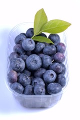 Blueberries