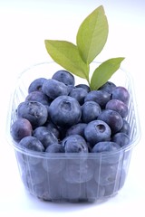 Blueberries