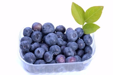 Blueberries