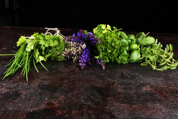 Fresh herbs lay on a rustic background. Basil, flower sage, thyme, oregano, dill, chives, parsley and coriander.