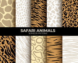 Seamless Patterns of animal fur print with texture, leopard, tiger and zebra seamless vector abstract backgrounds set. African animals fur, animal skin patterns, brown jaguar, giraffe, panther