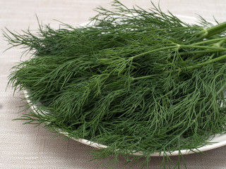 ハーブ　ディル