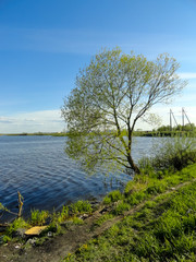 Pond, lake, fishing. A place for fishing. Quiet, calm lake, spinning fishing process.