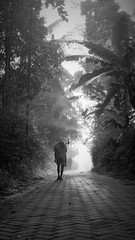 a man walking in the woods