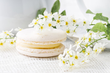 Fototapeta na wymiar White french macaroon close up on table with flowers