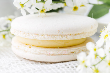 White french macaroon close up on table with flowers