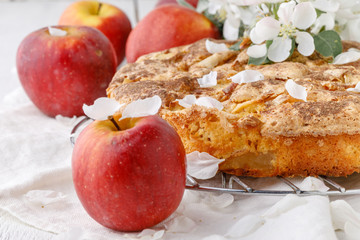Tasty homemade apple pie on table
