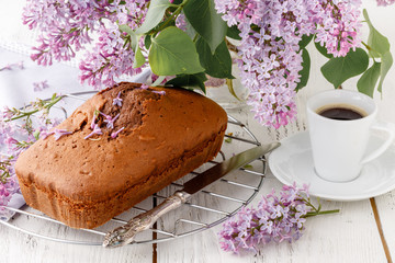 Classic chocolate cake for breakfast on table