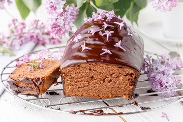 Classic chocolate cake for breakfast on table