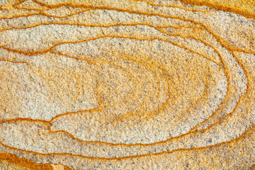 Beautiful stone texture. Sandstone cut. Natural background. A slice of stony wood.