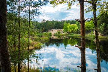 Green shore of the small lake. A small summer calm lake, pine forest and young deciduous trees on the shore