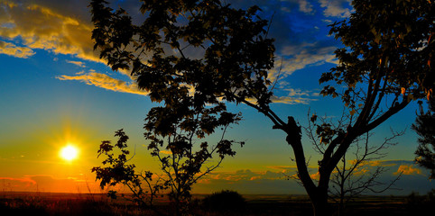 El atardecer del color