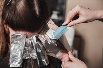 Fototapeta premium hairdresser dyeing hair of her client