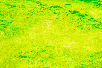 green stroke of the paint brush on white paper