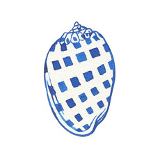 Illustrations of underwater life objects - blue sea shell, marine design. Watercolor hand drawn painting illustration isolated on white background.