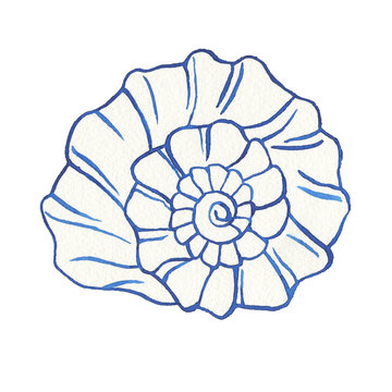 recommend clip art: Illustrations of underwater life objects - blue sea shell, marine design. Watercolor hand drawn painting illustration isolated on white background.
