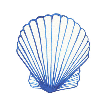 recommend clip art: Illustrations of underwater life objects - blue sea shell, marine design. Watercolor hand drawn painting illustration isolated on white background.