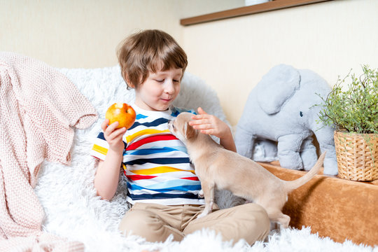 Happy Little Child Boy Playing Online Game, Watching Video On Cellphone And Eating Apple. Smiling Small Kid Using Funny Mobile Apps, Enjoying Free Leisure Time At Home, Play With Puppy Dog Chihuahua