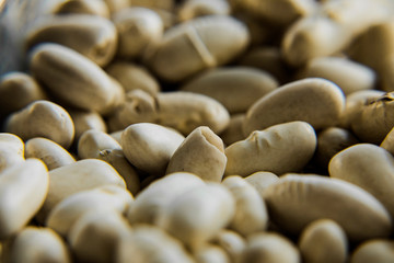 close up of white beans